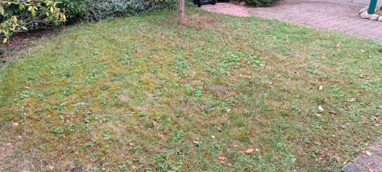 Vorgarten mit geschnittenen Rasenrändern und gepflegter Fläche - Gartenarbeit in Gehrden